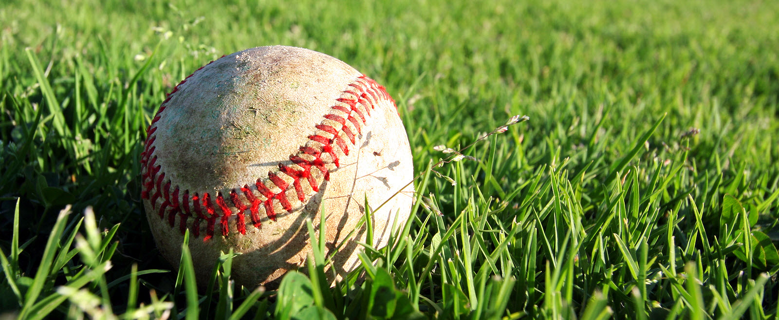 What Babe Ruth could teach about maximizing returns on your startup investments